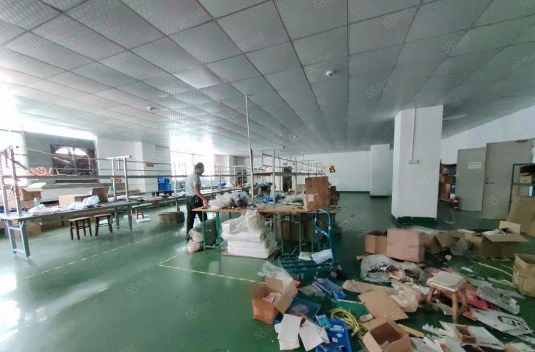 松岗村委会独门独院1000平精装修办公室厂房仓库电商仓库出租