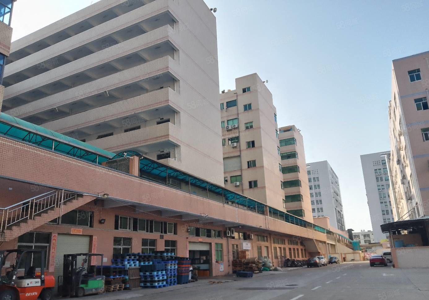 800平福永厂房出租一楼仓库物流办公室写字楼可办环评等可分租