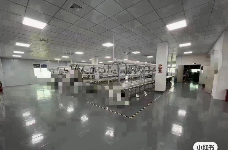 石岩独门独院整层精装1000平办公研发医疗电商仓库厂房出租