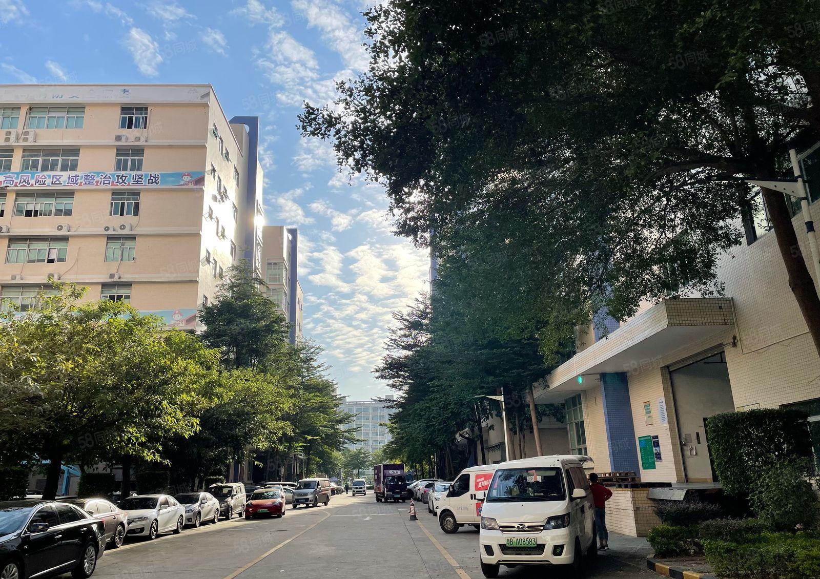 兴东地铁站1800平整层原房东红本厂房出租