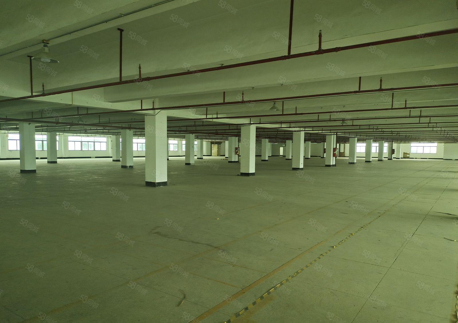 福海盛和兴物流园厂房仓库出租