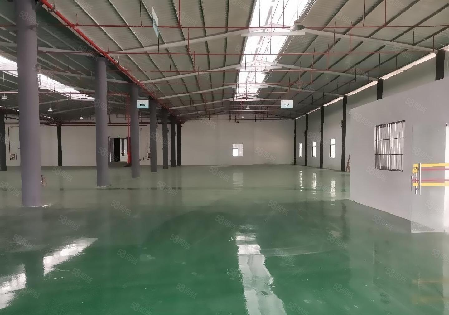 石岩石龙仔工业园独门独院原房东红本钢结构5000平方滴水7米