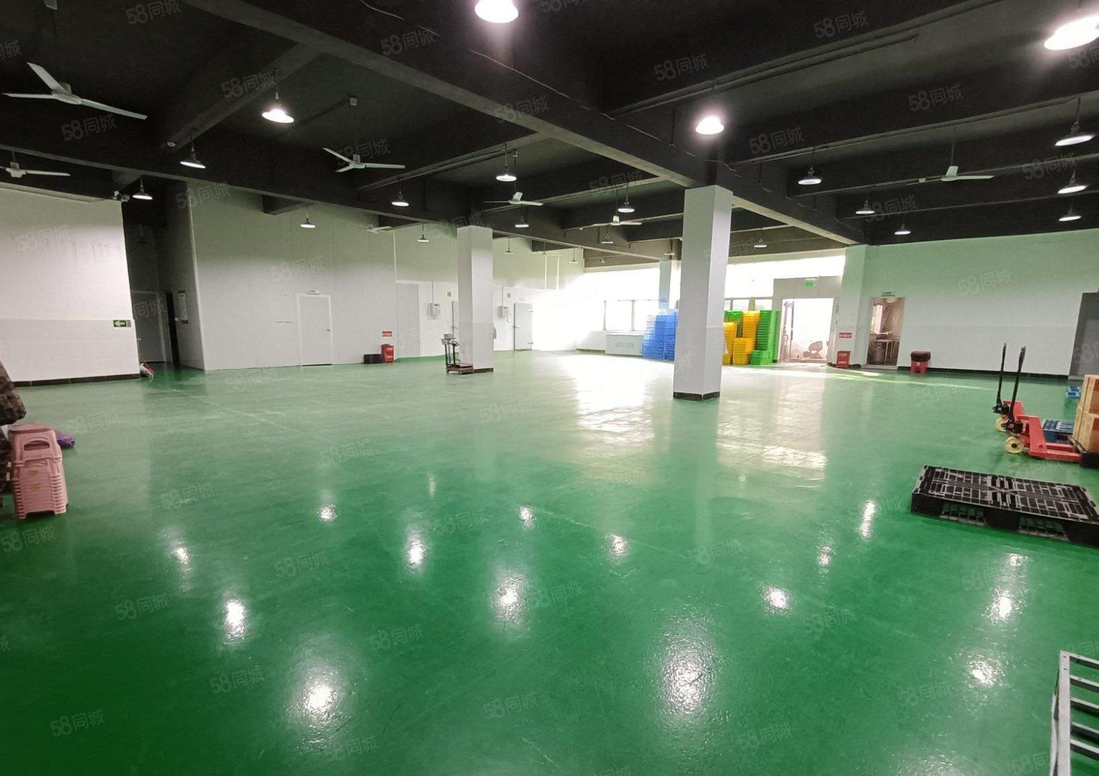 石岩塘头原房东楼上1200平精装修厂房低价出租无转让费