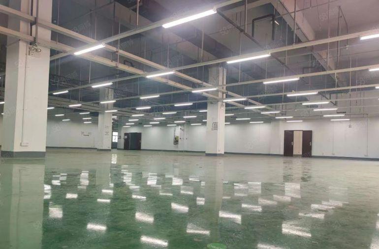 松岗红本原房东独院厂房7500带装修厂房实际面积7500平