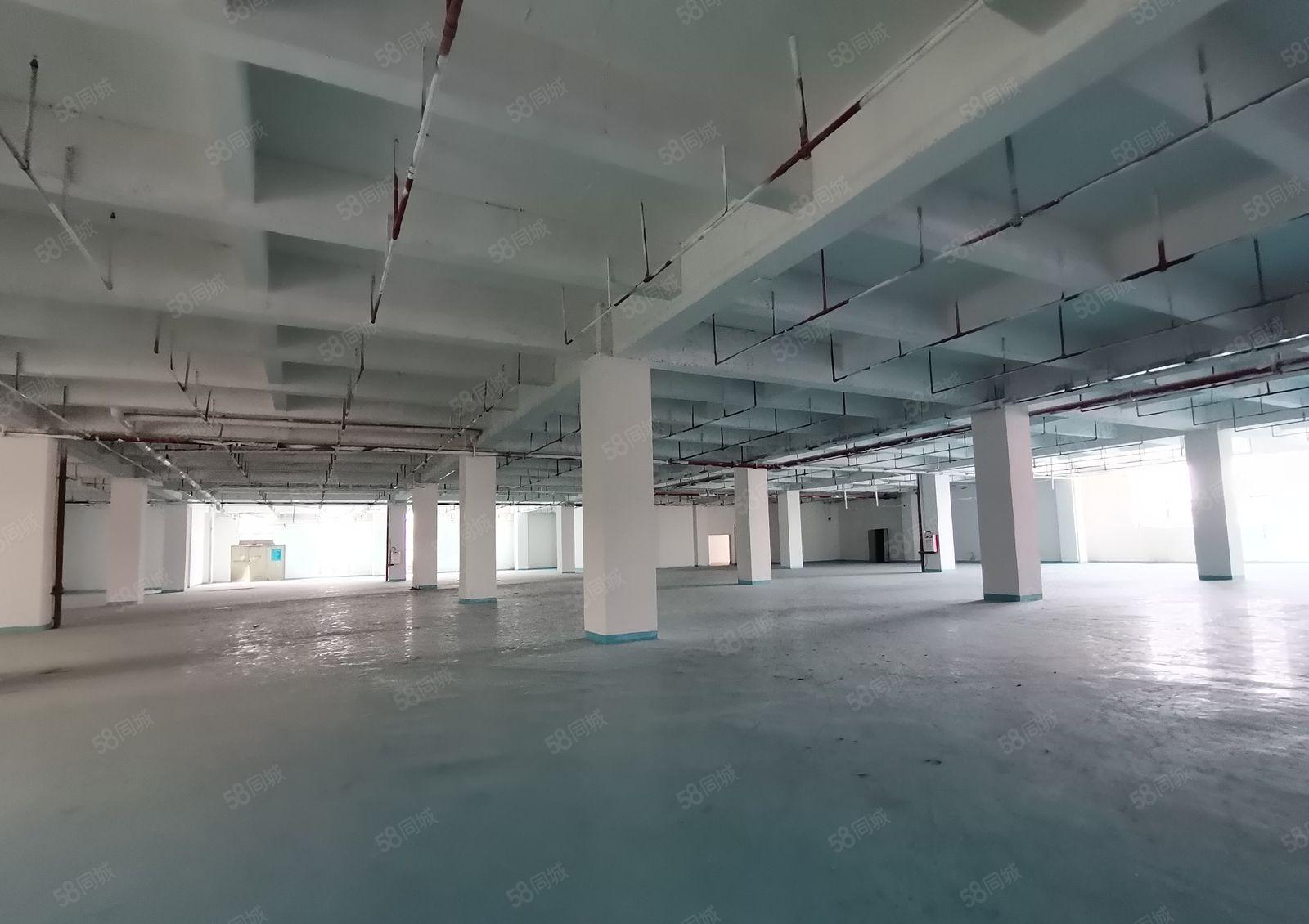 沙井后亭地铁站4000平方独门独院原房东红本工业厂房出租