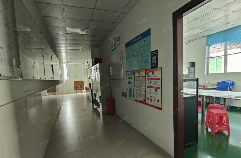 实惠实用靓丽园区红本厂房800平靓装到位水电在线即租即用