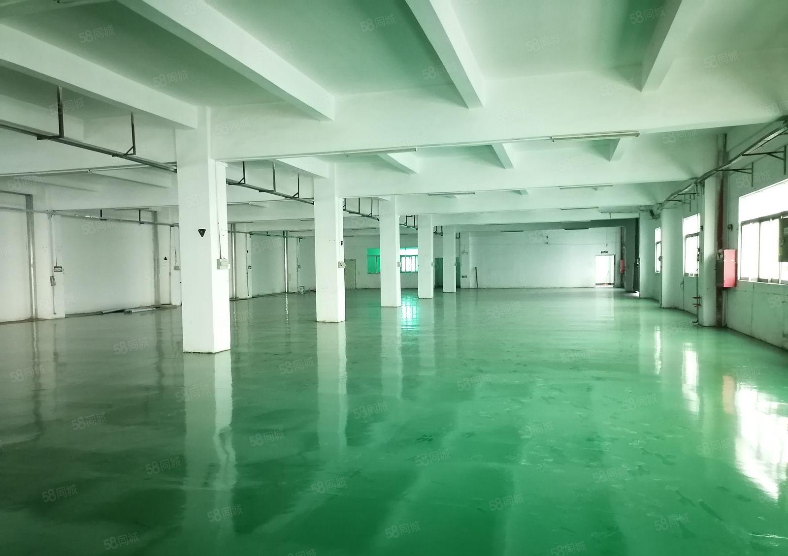 沙井大王山1500平全新厂房出租