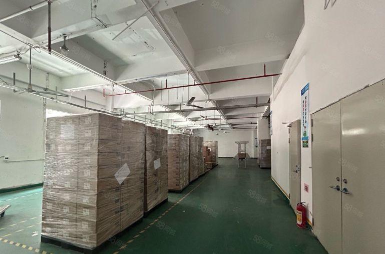 西乡钟屋地铁口原房东800平精装修厂房低价出租仓库招租