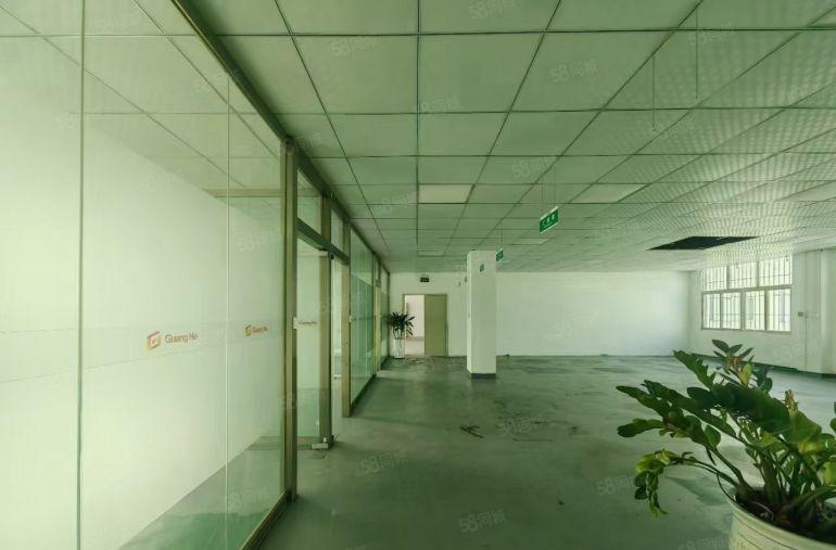 松岗大田洋独院2层，厂房出租3000平米一手房东高6米可分租