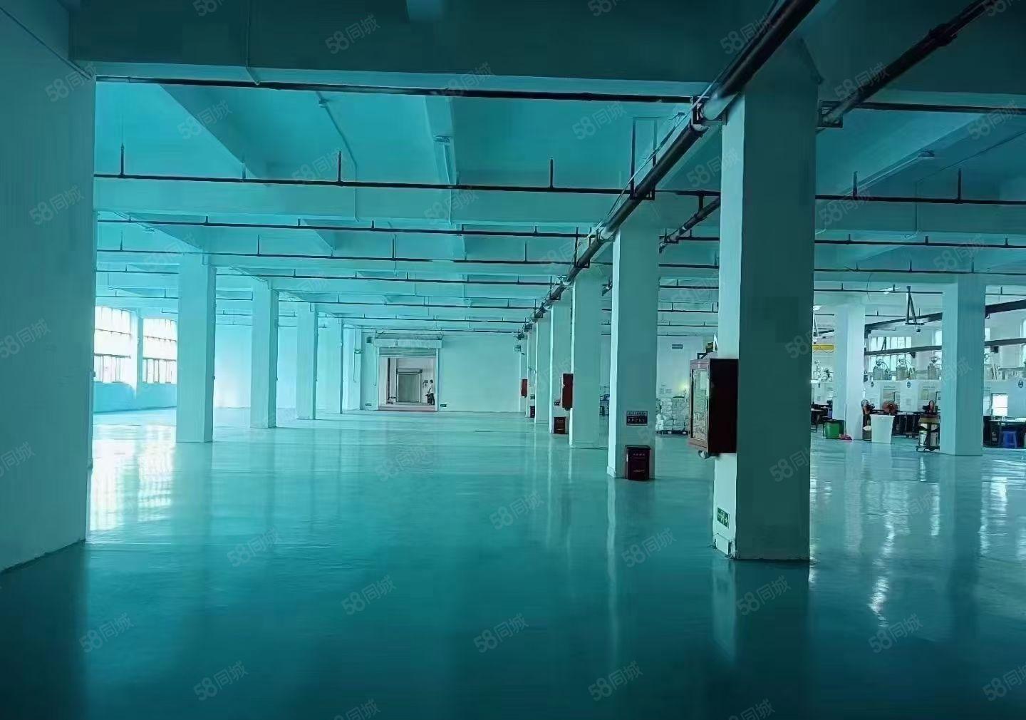 西乡国道边一楼4000平米物流仓库厂房出租