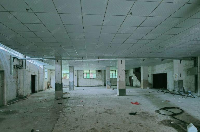 1楼实惠实用20元每平150平到1000平大小面积均可选择