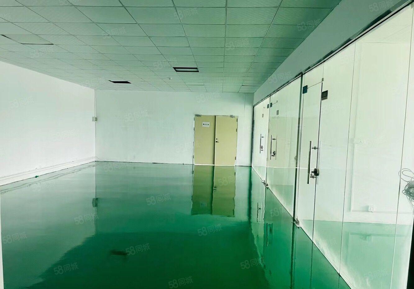 原房东石岩应人石工业区新出1000平厂房出租带装修全新地坪漆