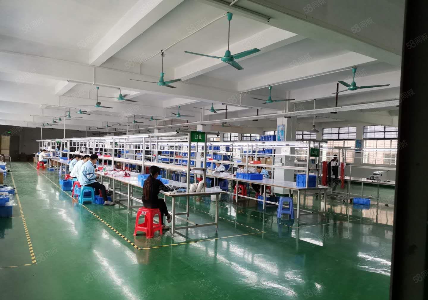 松岗罗田象山大道原房东红本厂房一楼1550平方