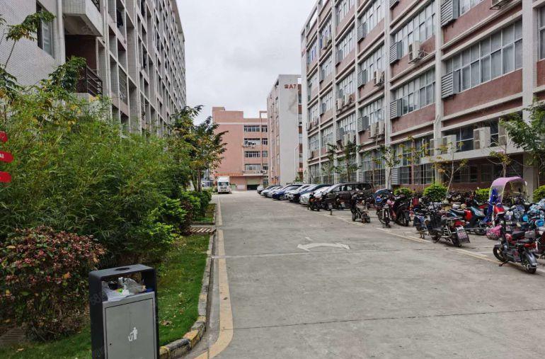 红本西乡原房东直租500平3000平20000请带装修厂房租