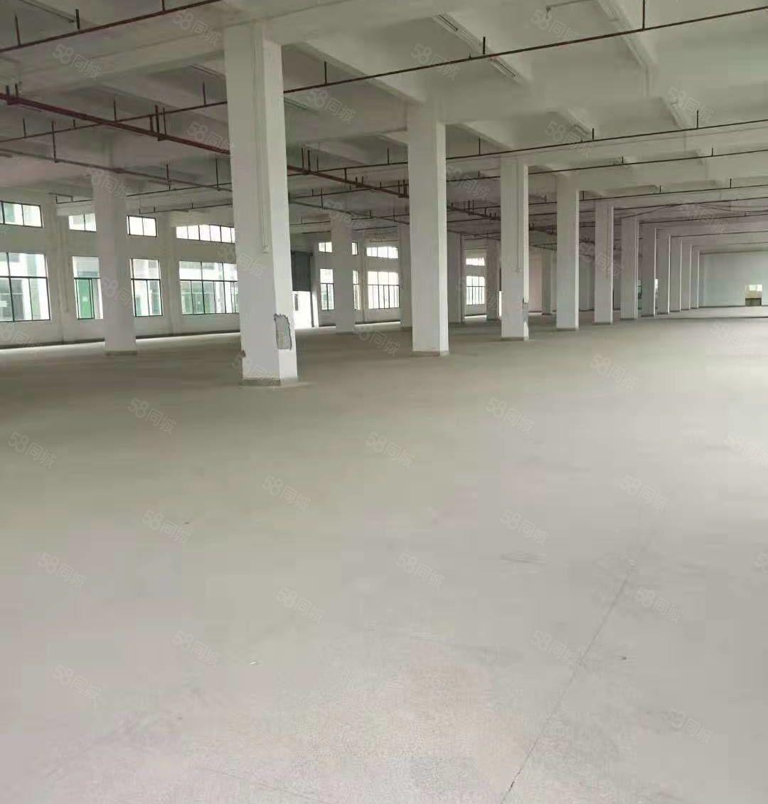 沙井镇新和大道共和附近村委三层楼独院厂房4200平方