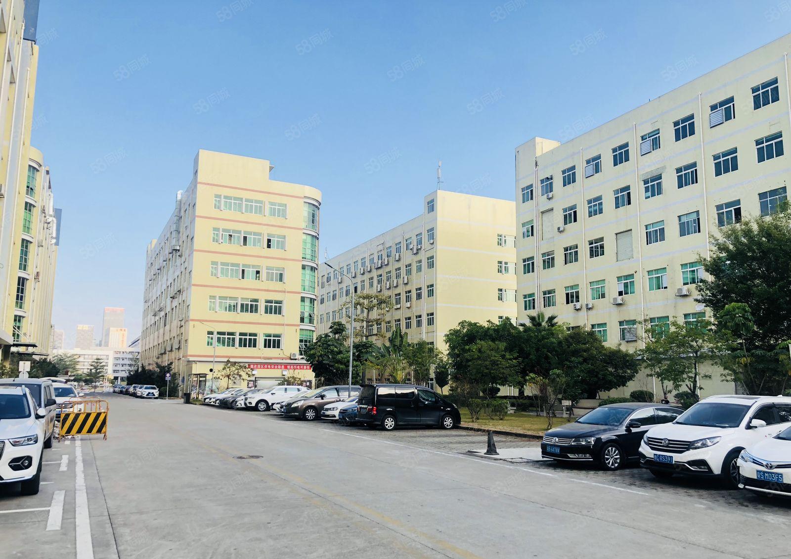 3吨货梯带吊机口松岗原房东山门工业区楼上1100平厂房招租