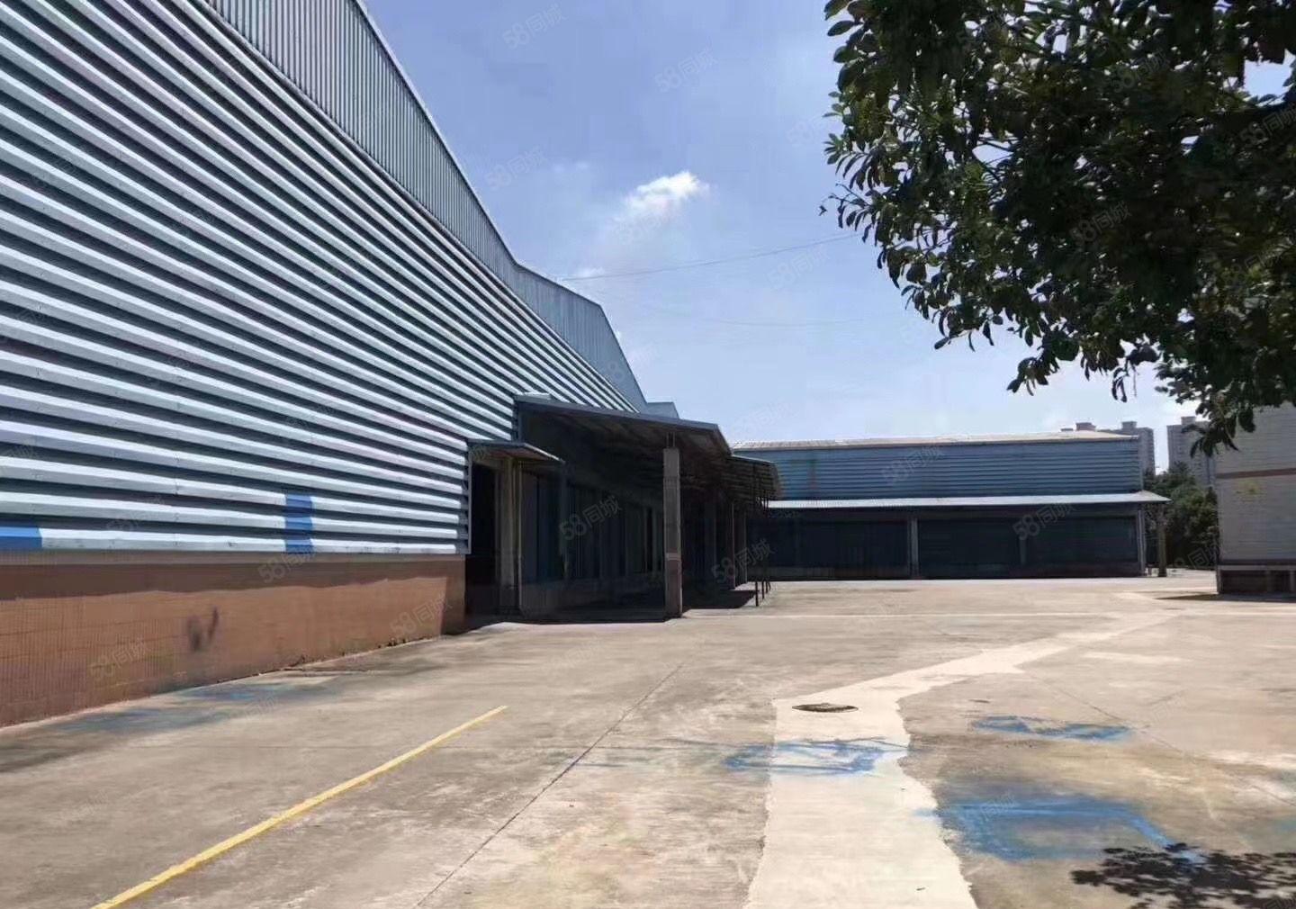 石岩高速口新出单一层高度7米高2800平方厂房仓库招租带装修