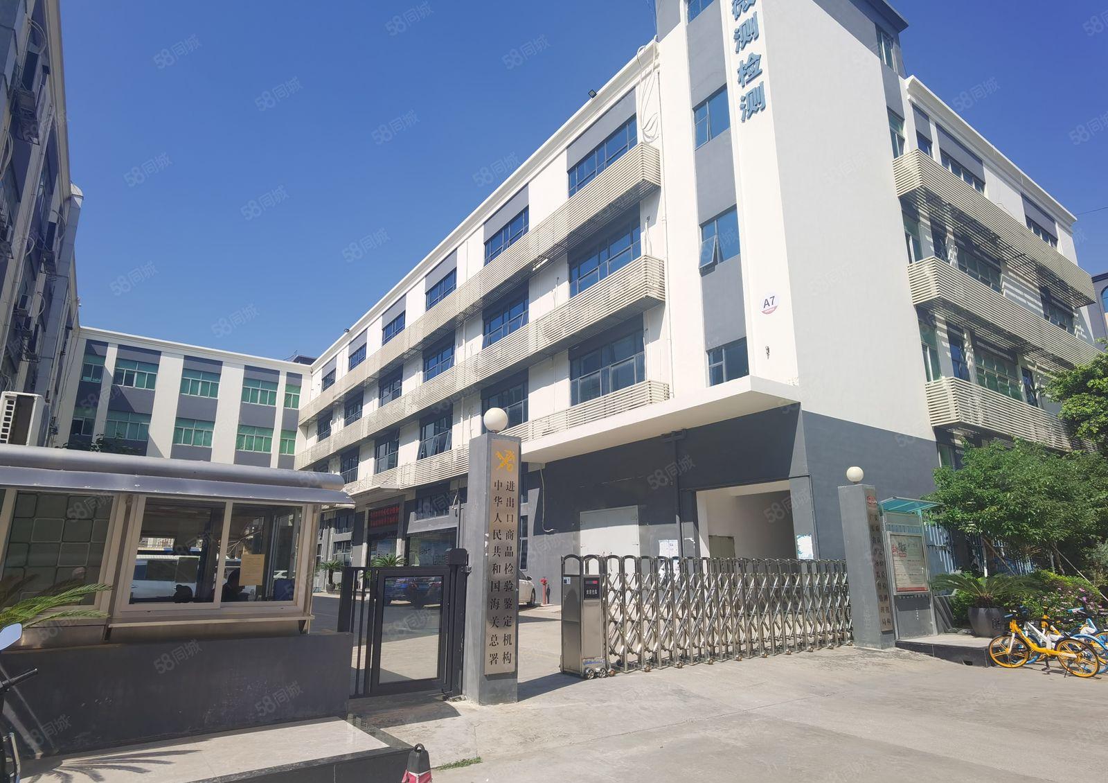 龙岗布吉关工业园精装修900平米厂房出租分租电商仓库办公