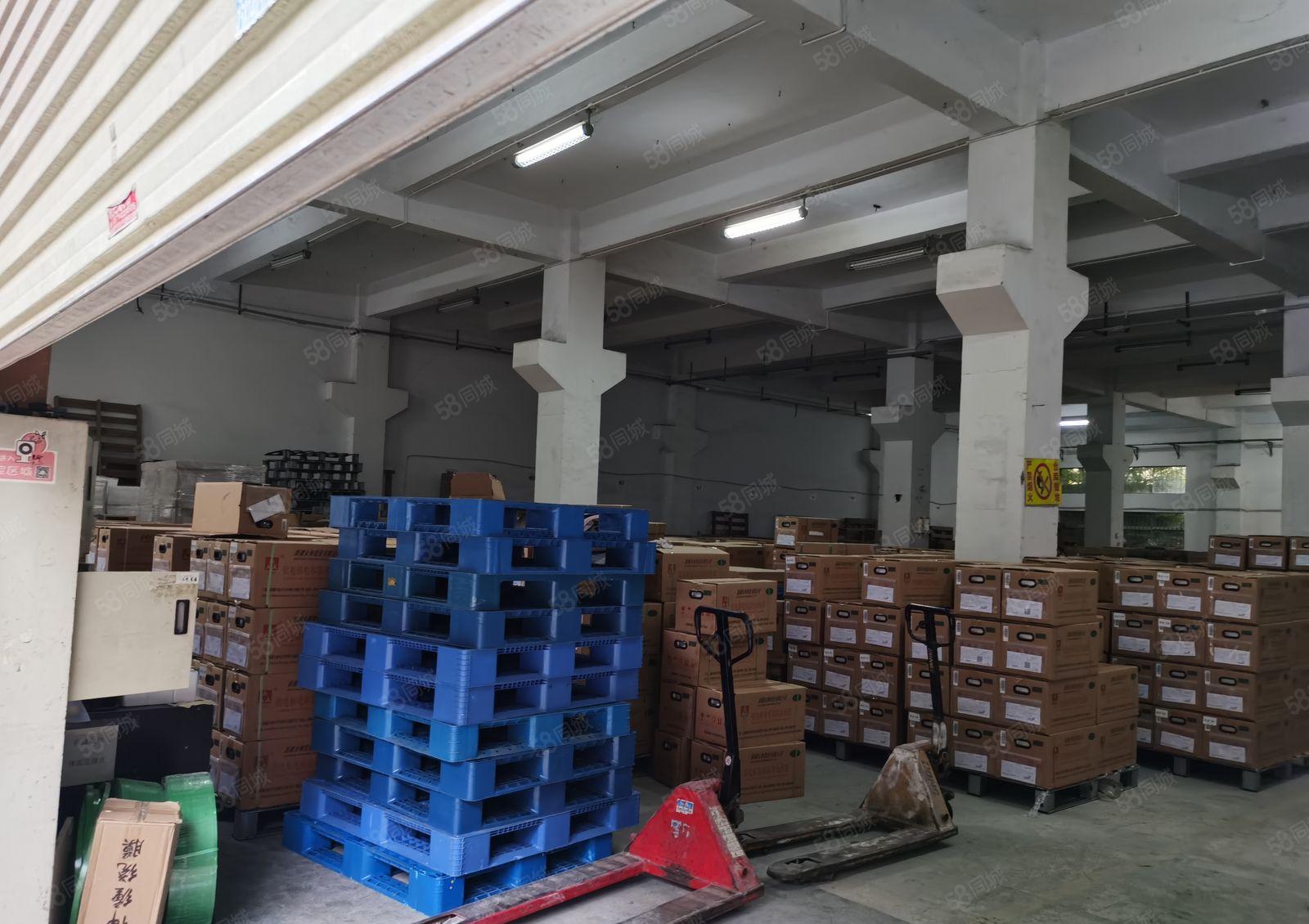 沙井新桥高速旁附近独门独院8000招租 全新出租带精装修