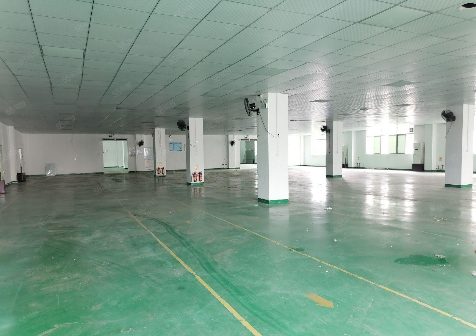 沙井独栋三楼2400平方出租可分租