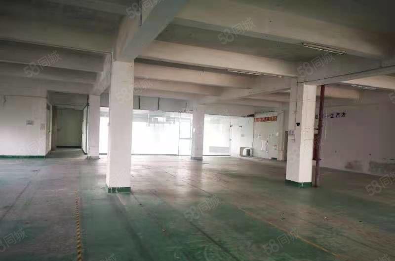 宝安西乡九围大型园区钢结构300到2000平招租面积大小可分