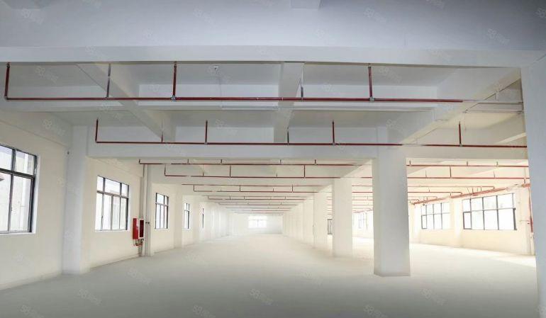 西乡固戍大型科技园厂房728平5600平1至7楼大小可分租