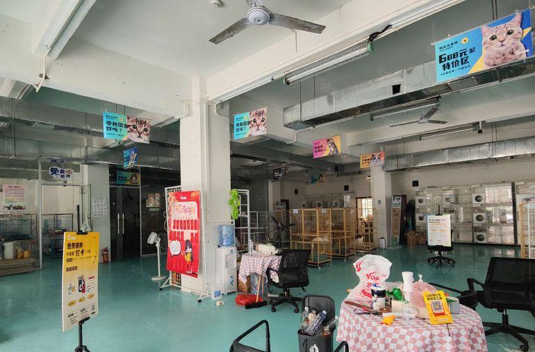 地铁口临街一楼500平带靓装租35元每平位置形象俱佳