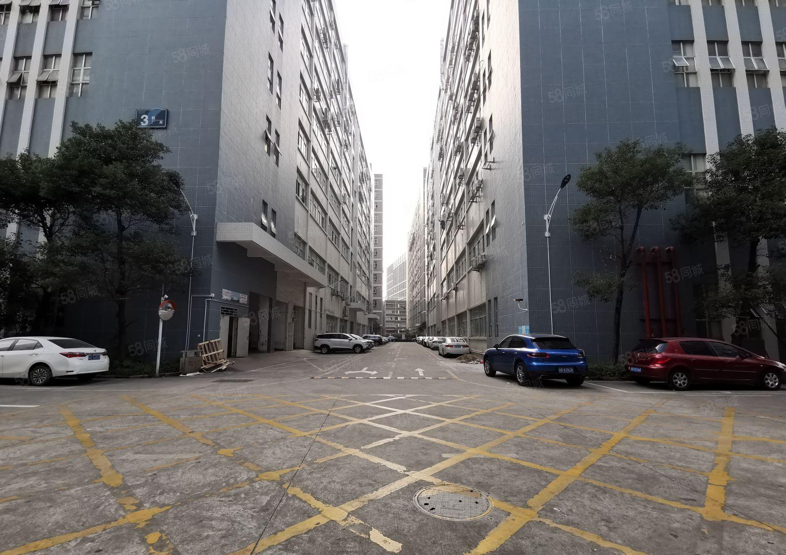 石岩石龙仔工业区 高速口精装修仓库厂房出租1000平，可分租