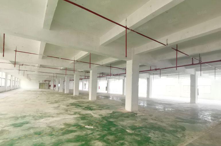 福永6000平独门独院厂房出租可分租2000平起