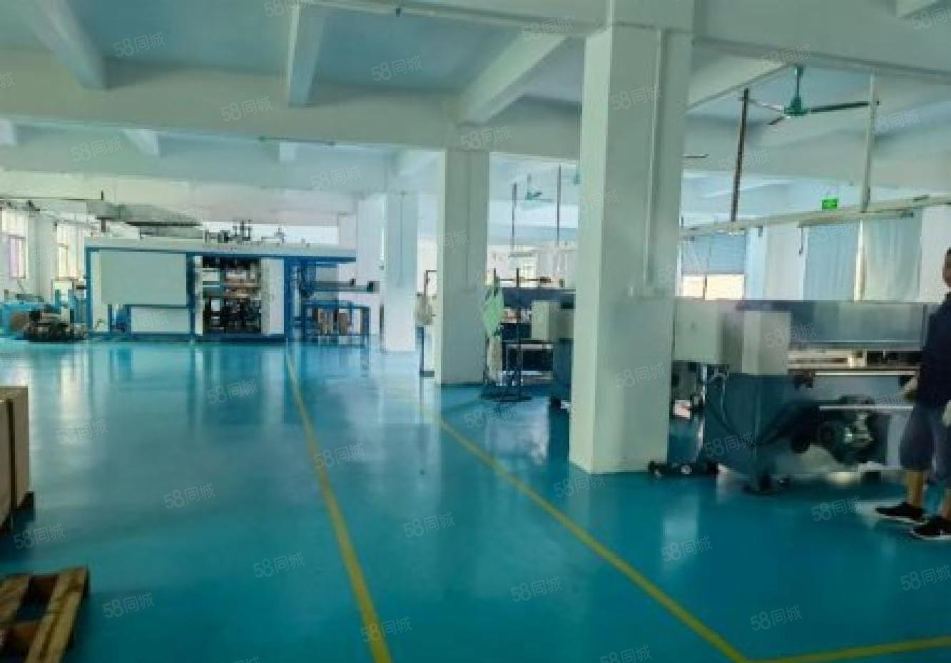 石岩石龙仔楼上850平原房东精装修厂房仓库出租可分租