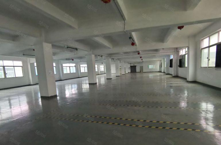 公明村委厂房出租独院5500平米一楼带有行车豪华装修 可分组