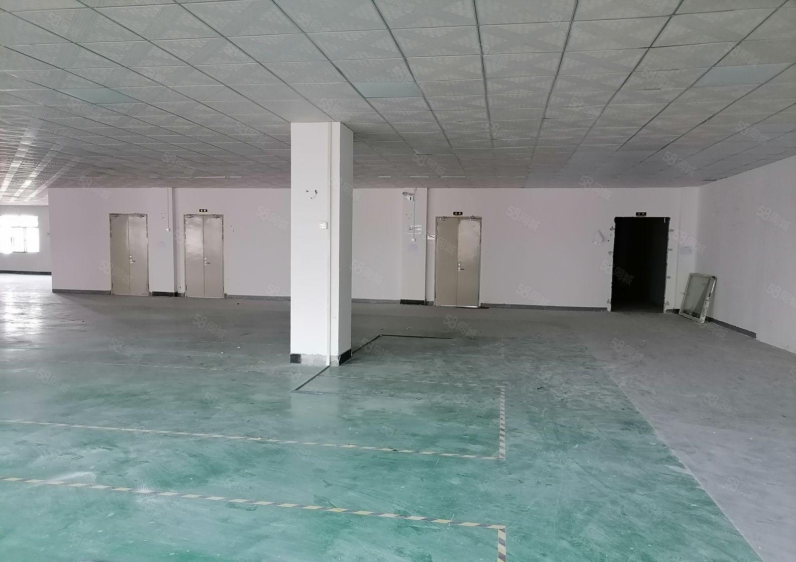 西乡固戍大型工业区精装修厂房1000平出租