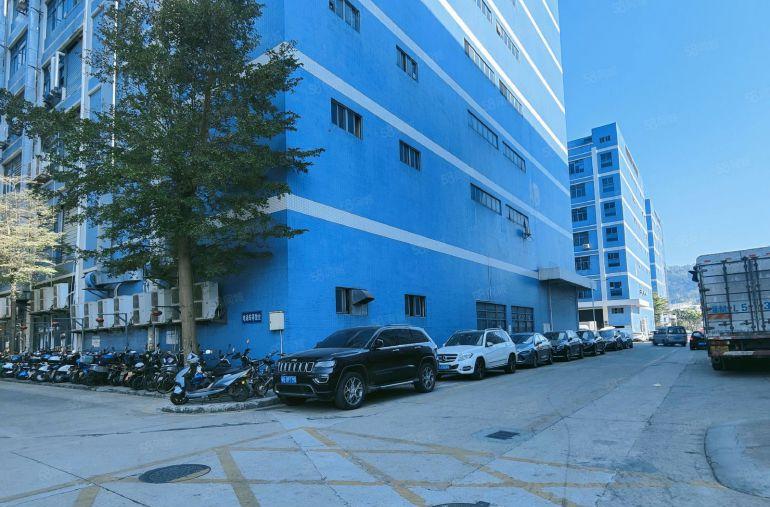 租35元每平靓丽一楼300平到5000平大小均可选择交通便利