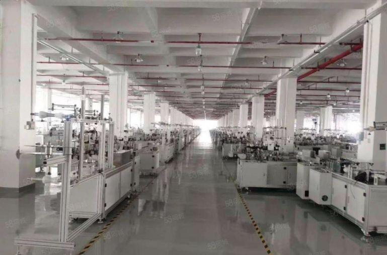 西乡新出500至1200平原房东厂房仓库出租 使用率高价格低