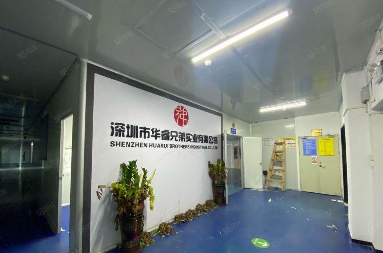 23元桃园地铁口楼上无尘车间2000平厂房出租仓库出租可分租