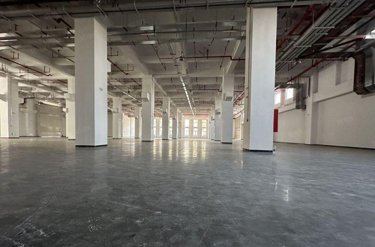 新和桥头塘尾独门独院厂房4800平方出租500起分租