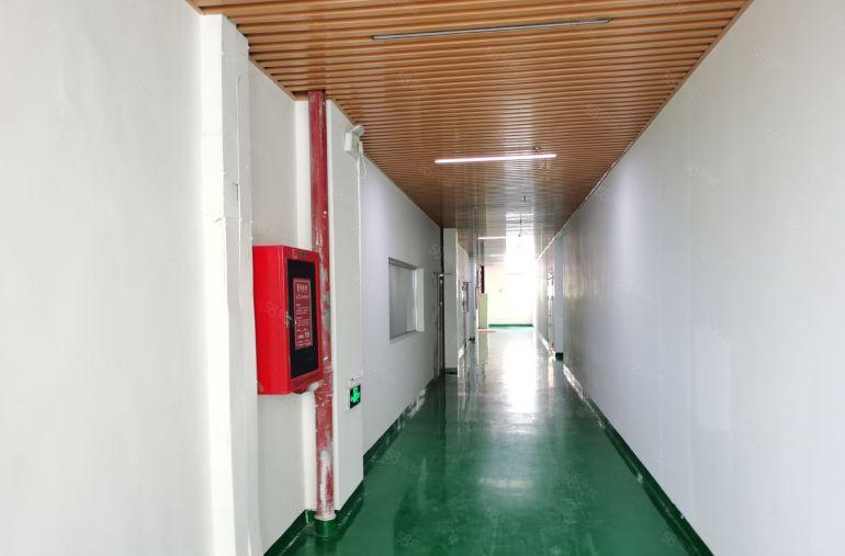 精装修200平米起出租福永大型园区厂房出租红本厂房业主直租