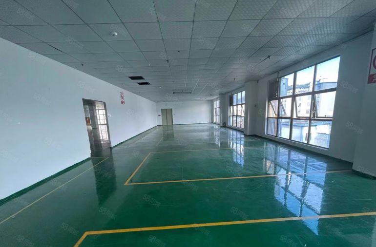 小面积办公室电商仓库分租 石岩石龙仔独院厂房出租20000平