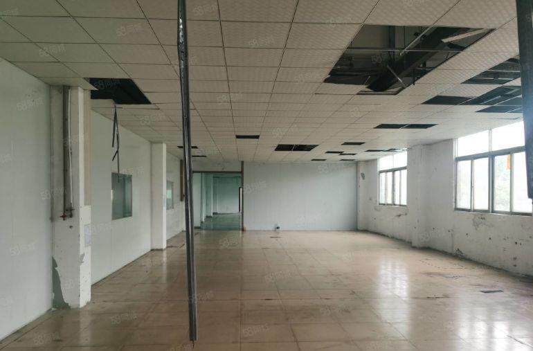 松岗原房东3层3600平厂房招租独院过环评实际面积高6M