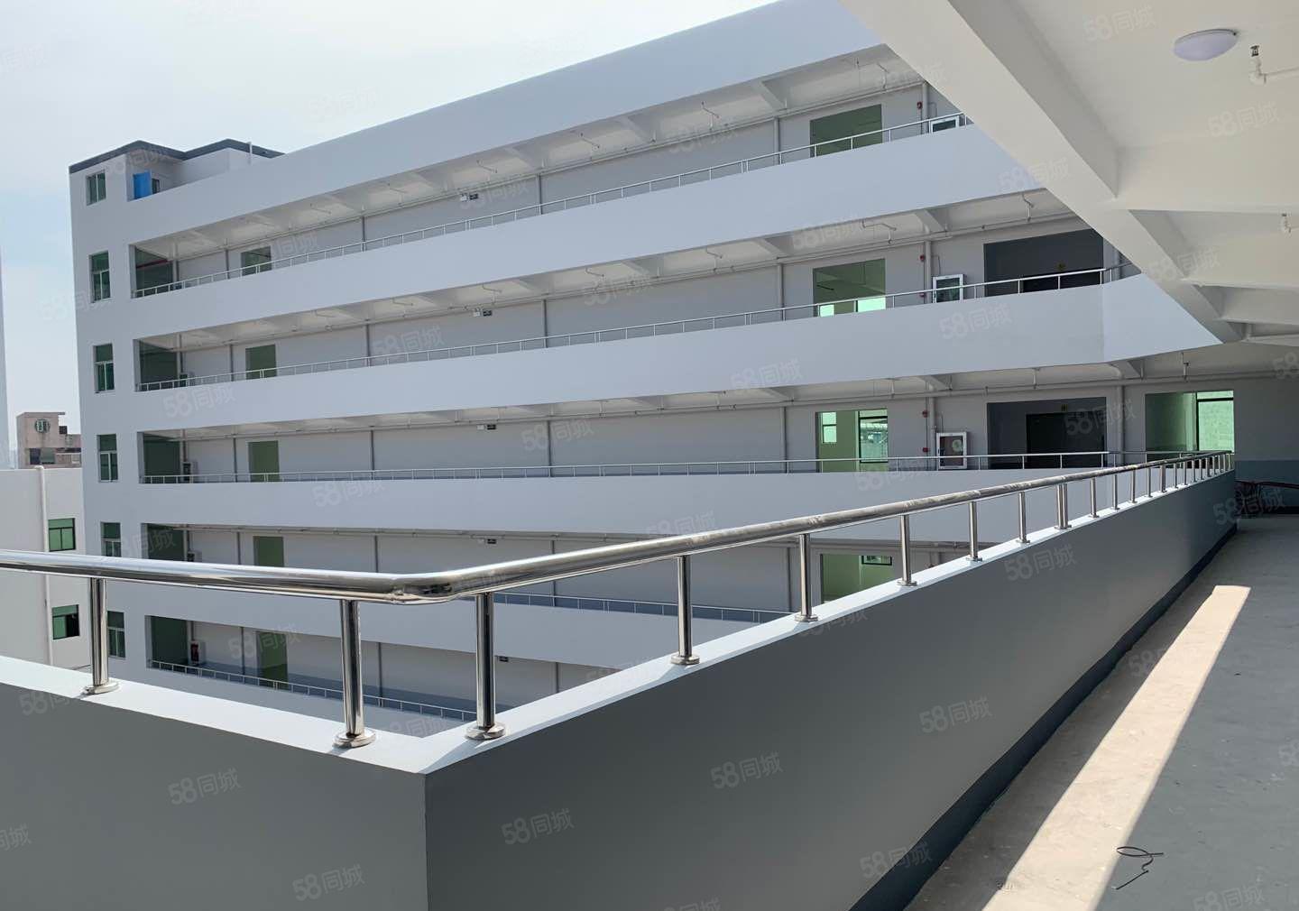 后亭全新装修厂房大小可分租