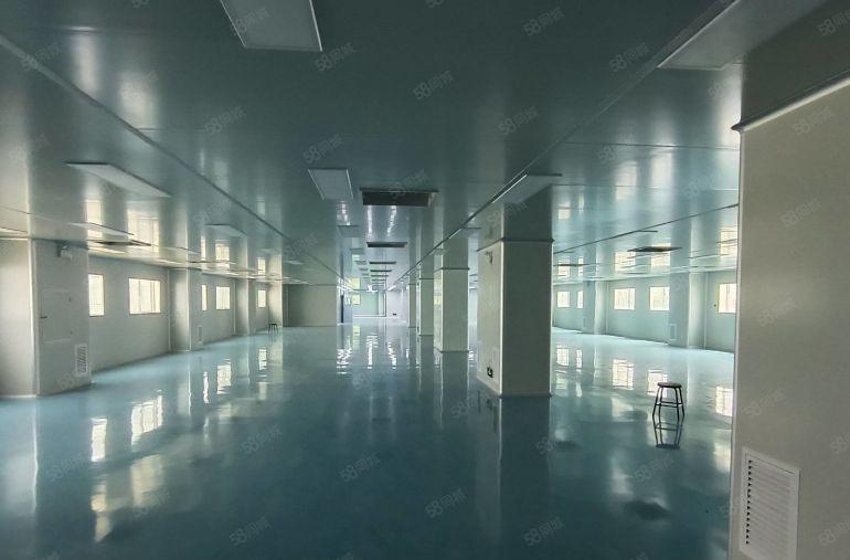 福永桥头育才工业区800平精装修办公室无尘车间厂房出租招租