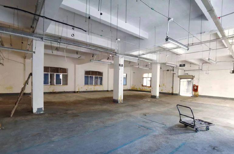 原房东西乡固戍一楼500平出租