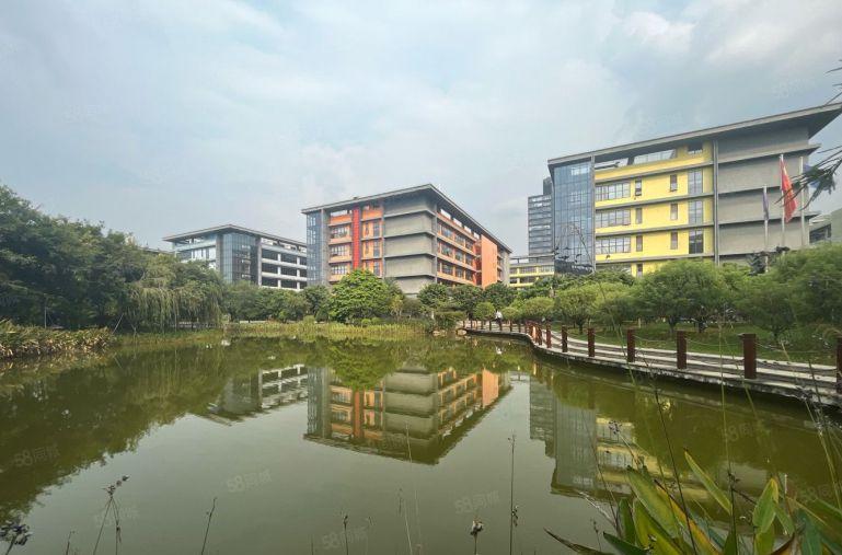 深圳国资委 独栋8000平可分租 有补贴无公摊低价厂房出租