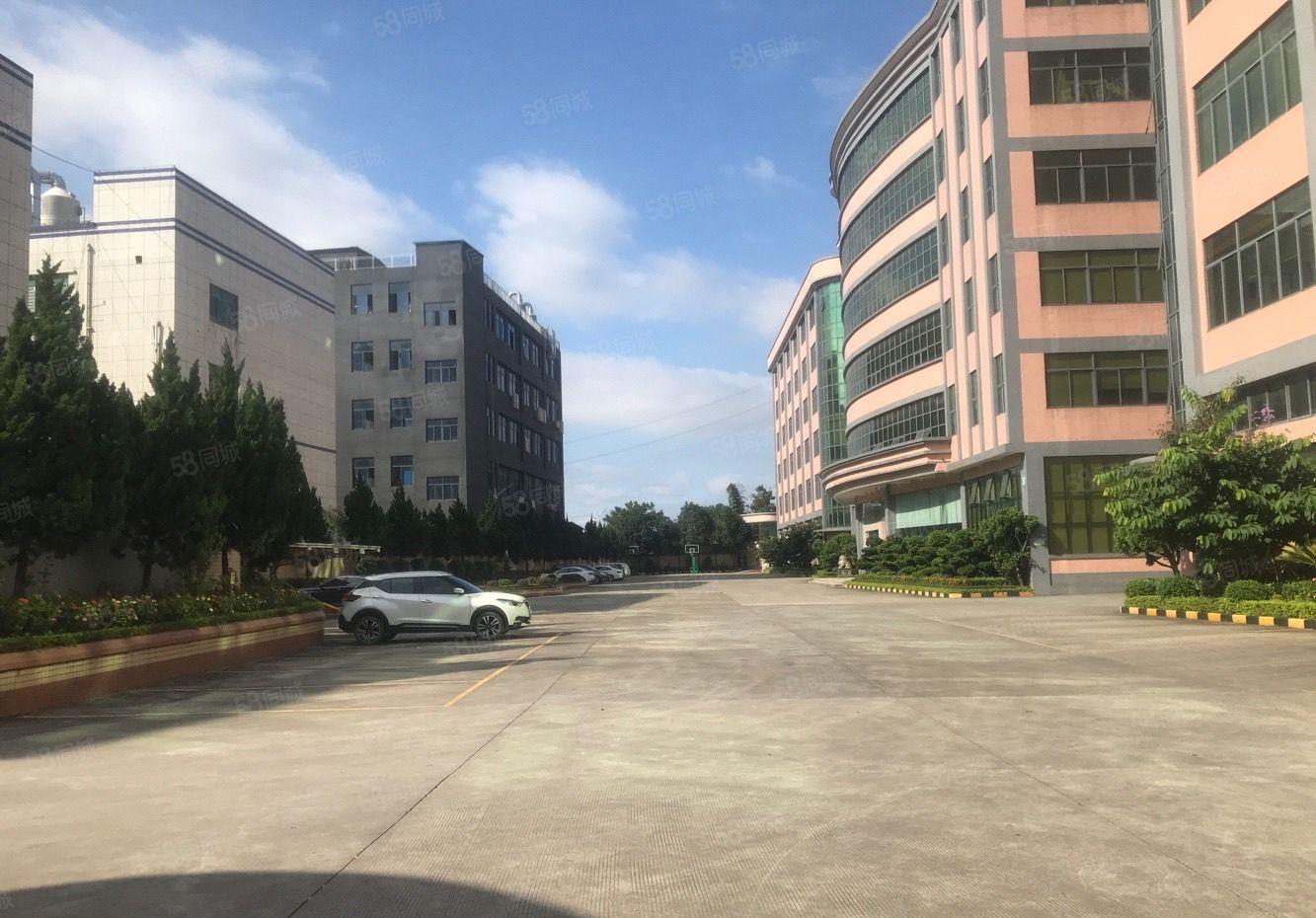 石岩高速口独门独院工业园厂房出租 超大空地 适合电商物流仓库