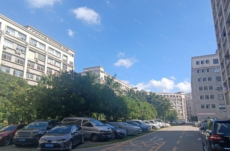 直租宝安高薪园区1000平可补贴租金可分组免中