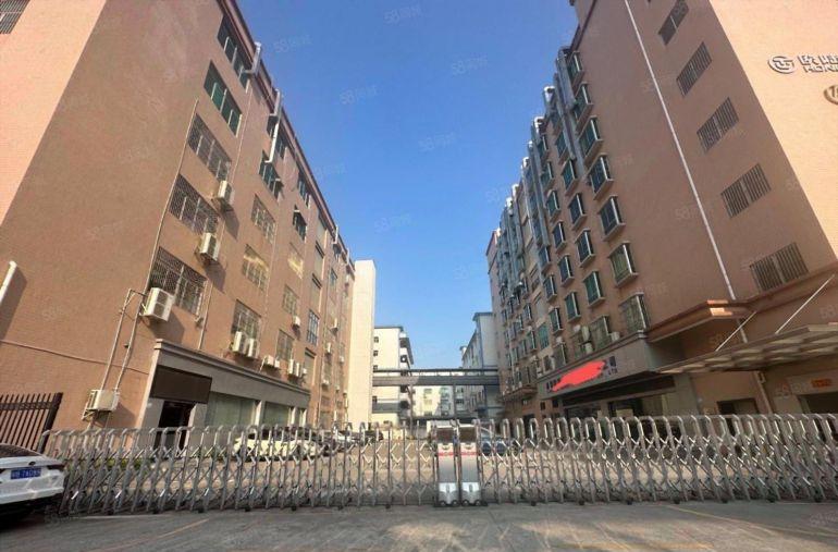 西乡电改园区原房东独院23000平一楼高6米电子厂房仓库出租