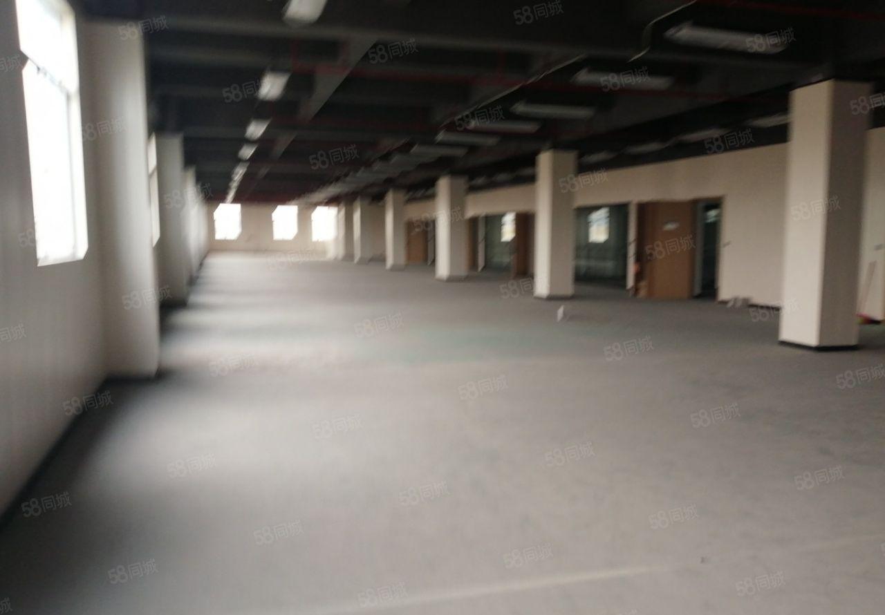 福永高新园区100平起租办公贸易研发厂房出租分租招租高新补贴