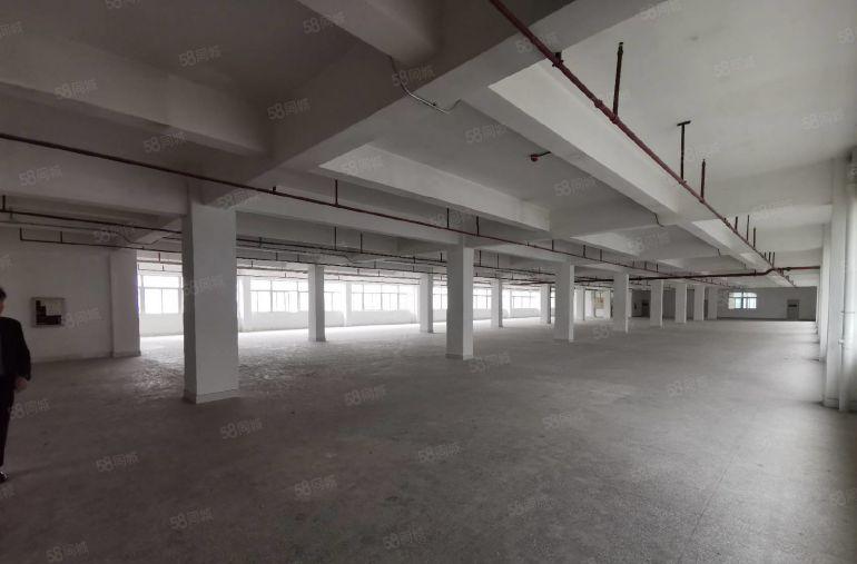 石岩料坑工业园精装修原房东厂房出租1500平无公摊大小可分