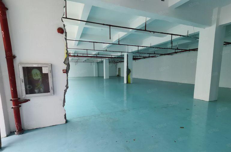 西乡650平全新装修厂房出租可以分租300和350平