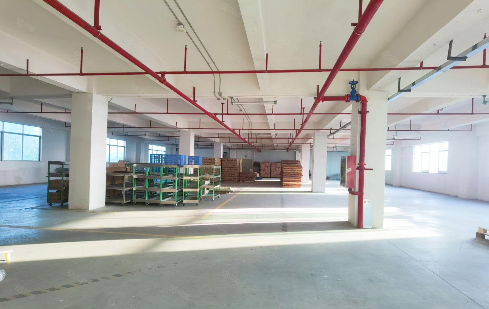 沙井原房东自建厂房楼上整层1300平精装修无转让费出租